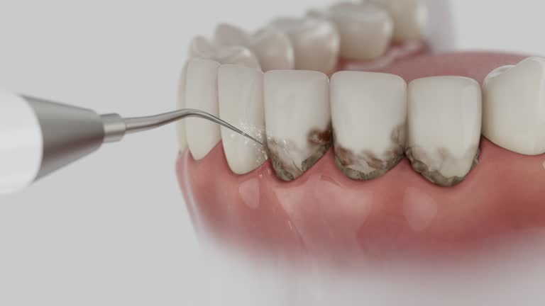 Reliable Dental contractor in Franklin Park, NJ by Dentist Open Now